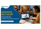 Do My Homework - 24/7 Live Support