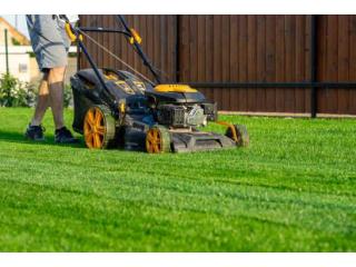 Book Professional Lawn Care Services and Upgrade Your Yard