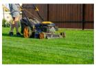 Book Professional Lawn Care Services and Upgrade Your Yard 