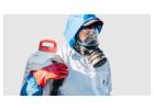 Rodent Exterminators Blacktown for Complete Rodent Control
