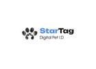 How a Cat Collar Identification Tag Can Help Keep Your Cat Safe