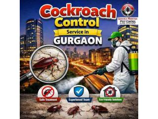 Local Cockroach Control Service in Gurgaon with Professional Pest Solutions