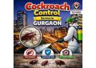 Local Cockroach Control Service in Gurgaon with Professional Pest Solutions