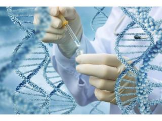 Convenient & Cheap Online Blood Tests at Mobile Medical Lab