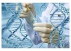 Convenient & Cheap Online Blood Tests at Mobile Medical Lab