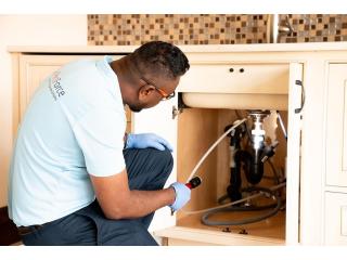 Wasp Nest Removal Calgary for Fast & Safe Service