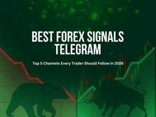 Best Forex Signals Telegram Channels | Carlos and Company