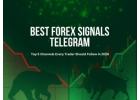 Best Forex Signals Telegram Channels | Carlos and Company