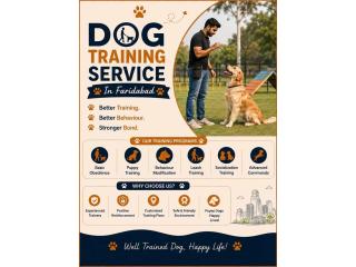 Dog Training Service