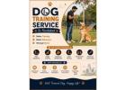 Dog Training Service