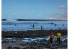Surf and Stay Tenerife | Endlesssummertenerife.com