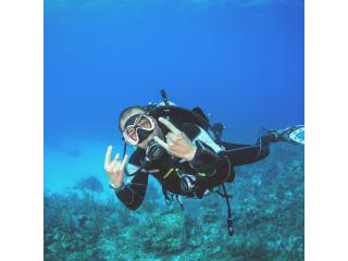 Beginner Surf Camp Tenerife | Endlesssummertenerife.com
