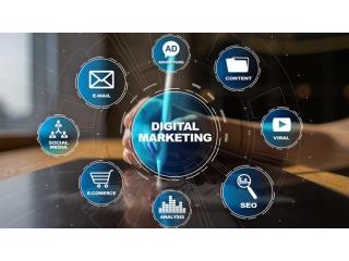 Trusted Digital Marketing Company In Delhi
