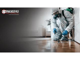 How Do Professional Pest Control Services in Columbus Work?