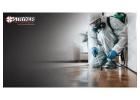 How Do Professional Pest Control Services in Columbus Work?