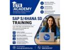SAP S/4HANA SD Training | GTR Academy 