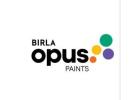 Birla Opus Wall & Home Paints for Beautiful Colours