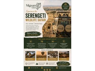 Serengeti Wildlife Safari – Adventure Awaits