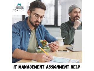 Expert IT Management Assignment Support for Students