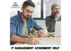 Expert IT Management Assignment Support for Students