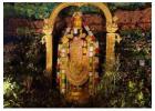 Tirupati VIP Break Darshan Booking: Complete Guide to Tickets, Timings and Process