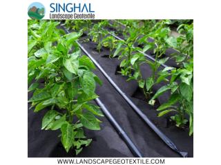 Heavy Duty Anti Lake Weed Mat Suppressant