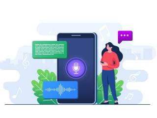 API for Voice Call