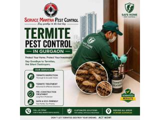 Termite Pest Control in Gurgaon for Furniture & Structural Protection