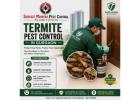 Termite Pest Control in Gurgaon for Furniture & Structural Protection
