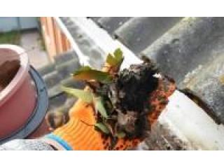 Windy City Gutter Cleaning Offers Quality Gutter Cleaning Services in Winnetka