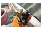 Windy City Gutter Cleaning Offers Quality Gutter Cleaning Services in Winnetka
