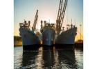 Find the Maritime Temporary Certificate – Authorized & Hassle-Free Application