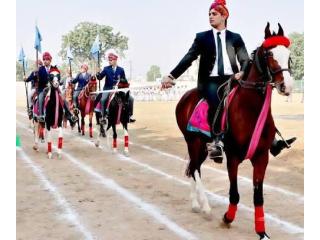 Birla Public School Pilani Admissions Open – Apply Now