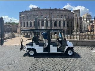 Find a private Vatican guide
