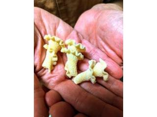 Delicious Organic Pasta for Coachella Valley Food Lovers
