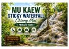 Mu Kaew Sticky Waterfall Chiang Mai Private Tour