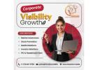 Private Placement Advisory Services for Strategic Capital Raising