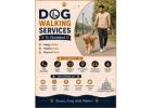 Dog Walking