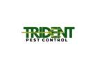 Trident Pest Control