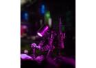 Mostarle: Mostarle Terminator Metal Model Kit for Sci-Fi Fans