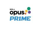 Birla Opus Prime: Exterior Paint & Protective Textures
