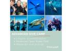 Scuba Diving Tenerife Booking | Endlesssummertenerife.com