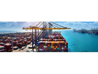 Marine Shipping Courses: Explore Career Options, Eligibility and Future Scope