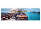 Marine Shipping Courses: Explore Career Options, Eligibility and Future Scope 