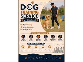 Dog Training Service