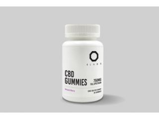 Explore CBD Gummies With 8Labs CBD
