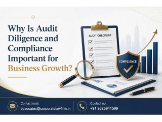 Why Is Audit Diligence and Compliance Important for Business Growth?