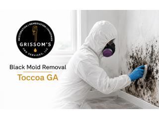 Black Mold Removal