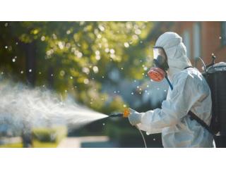 Need Pest Control in Calgary? Get Expert Help Today