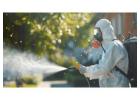 Need Pest Control in Calgary? Get Expert Help Today
